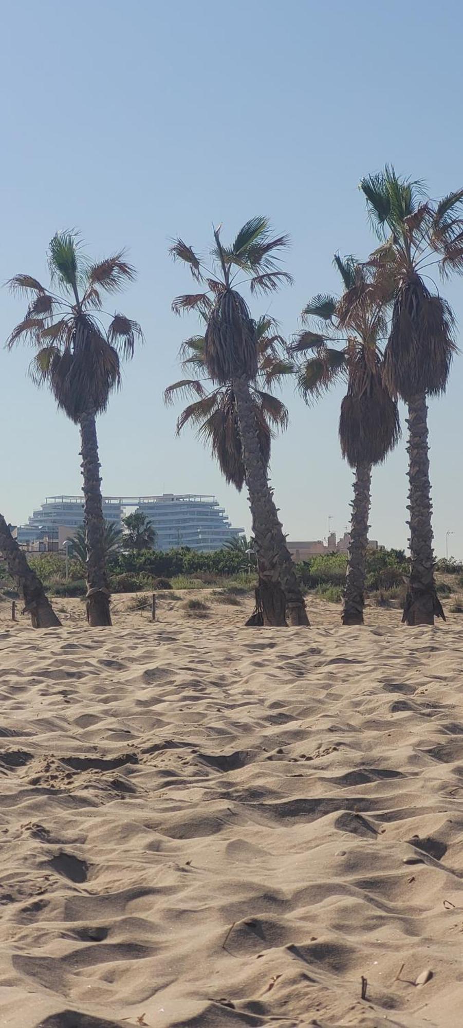 Con Vistas En Gran Canet